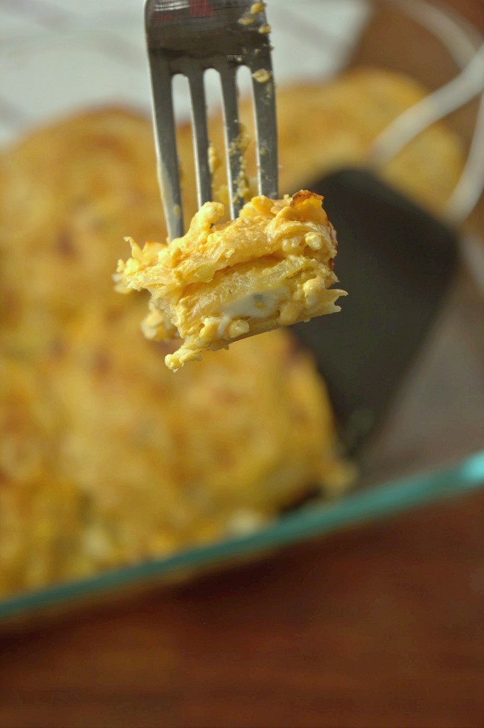 Buffalo Chicken Lasagna Squares