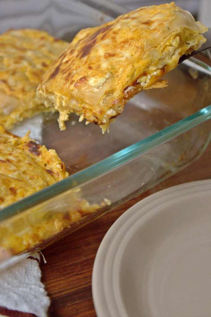 Buffalo Chicken Lasagna Squares