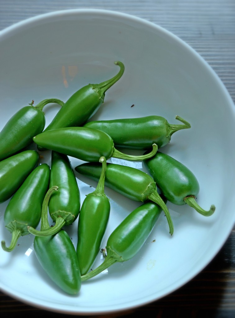 Black Bean Jalapeno Poppers