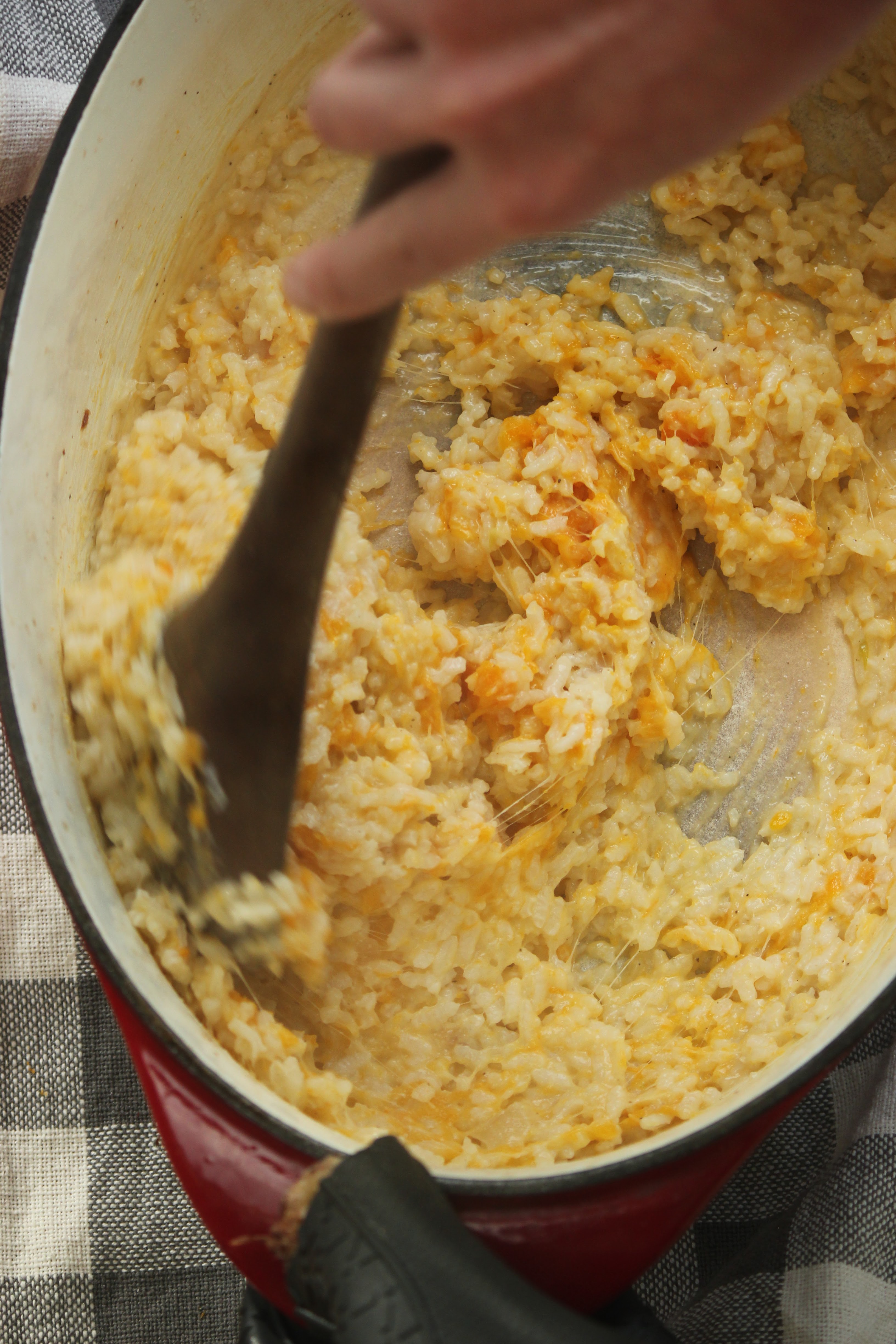 Quick and Easy Butternut Squash Risotto