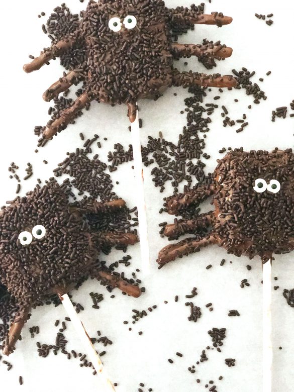 Chocolate Covered Spider S'More Pop | And They Cooked Happily Ever After